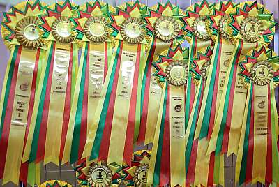 �������� ����� '���-�����-��������' 20-21 �������� 2014 169A1796 copy.jpg